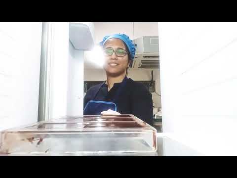 Darkins  : Bean to Bar Chocolate making