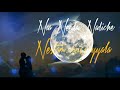 Vennela Vennela Whatsapp Status