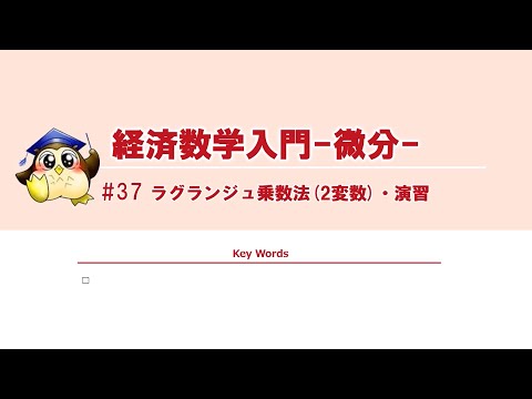 ＃37 ラグランジュ乗数法（2変数）・演習（BGMあり）