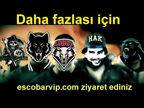 Escobarvip Org