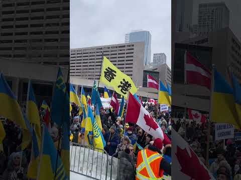 Massive crowd gathers at Toronto rally in solidarity with Ukraine