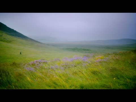GKR - ÞYKIR ÞAÐ LEITT Ft. Tatjana (Lyric Video)
