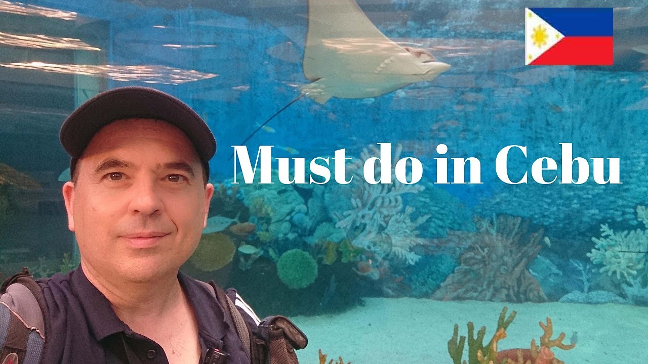 Join a traveler as he explores Cebu Ocean Park in this video tour.