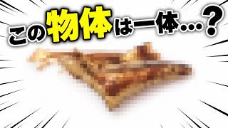 ヤリグモの貴重なお食事シーンに密着！