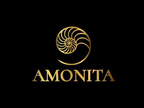 AMONITA  -  BEST OF (2022)
