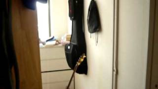 230 E. 30th Street (btwn 2nd and 3rd)..$2850..Sept 1st move in