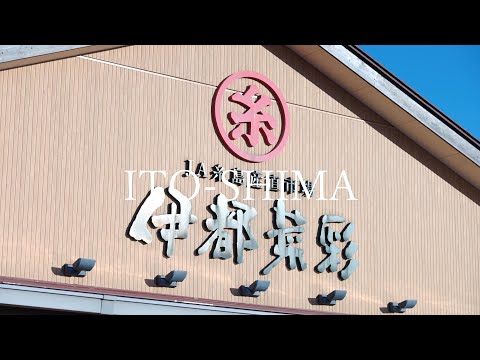 伊都菜彩　～糸島10秒動画～