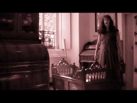 Adelsgeschichte der Elbinsel Wilhelmsburg