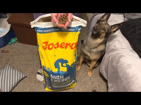 Josera High Energy - JOSERA HUNDEFUTTER