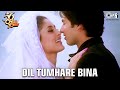 Dil Tumhare Bina Shahid Kapoor Kareena Kapoor Himesh Reshammiya Alka Yagnik 36 China Town
