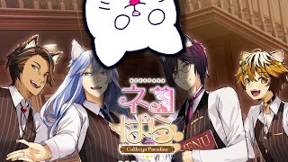 Cat found in CATBOY PARADISE?? | Nekopara Catboys Paradise
