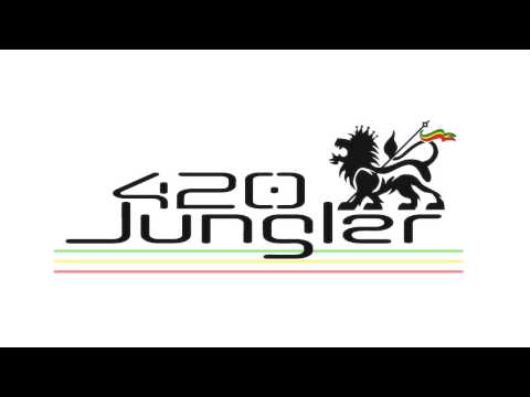 The Run Tingz Cru & Family - The Revolution Time Mix (JUNGLE MIX)