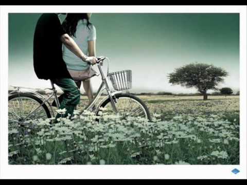 Chiếc khăn tang (Họa Tâm II - 画心 II) - Dương 565