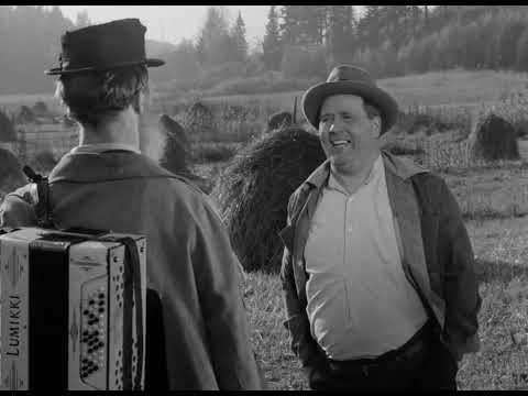 Elokuva: Hei, Rillumarei! (1954)