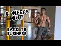 BACK TO BUSINESS | 6 WEEKS OUT (WITH SUBTITLE)