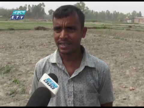 রংপুরে আলুর বাম্পার ফলন হলেও হাসি নেই কৃষকের মুখে | ETV News