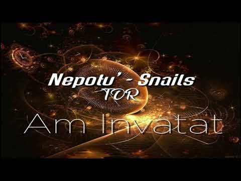 Nepotu' - TDR - Snails - Am invatat