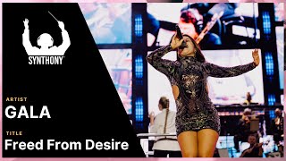 SYNTHONY - Gala 'Freed From Desire' (Live at Mānuka Phuel SYNTHONY Festival 2025)