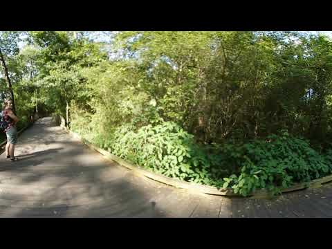 Прогулка Lilburn City Park walk