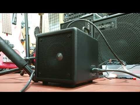 PHIL JONES BASS NANOBASS X4 DEMO