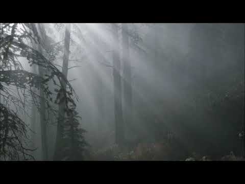 Onward Thru The Fog  by Kev Foster  music video