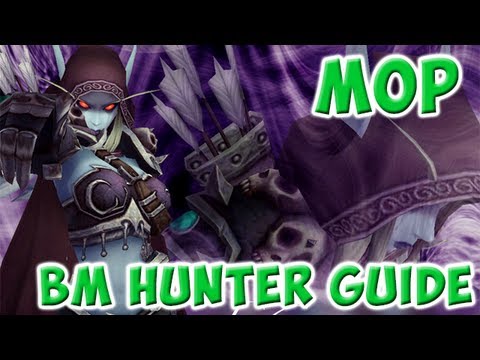 WoW - Beast Mastery Hunter Guide - 5.4