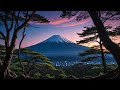 The Hidden Horrors Of Aokigahara Forest