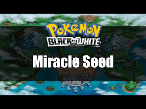 Pokemon Black and White | Where to get Miracle Seed