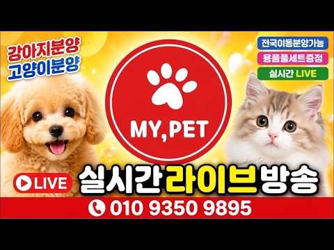 강아지분양 고양이분양 라이브❤️전국어디든분양가능❤️라이브 실시간…