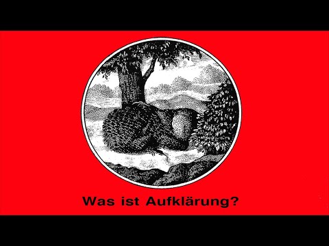 Was ist Aufklärung? - Materialismus und Idealismus