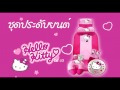 ชุดประดับและตกแต่งรถยนต์ Hello Kitty DS03