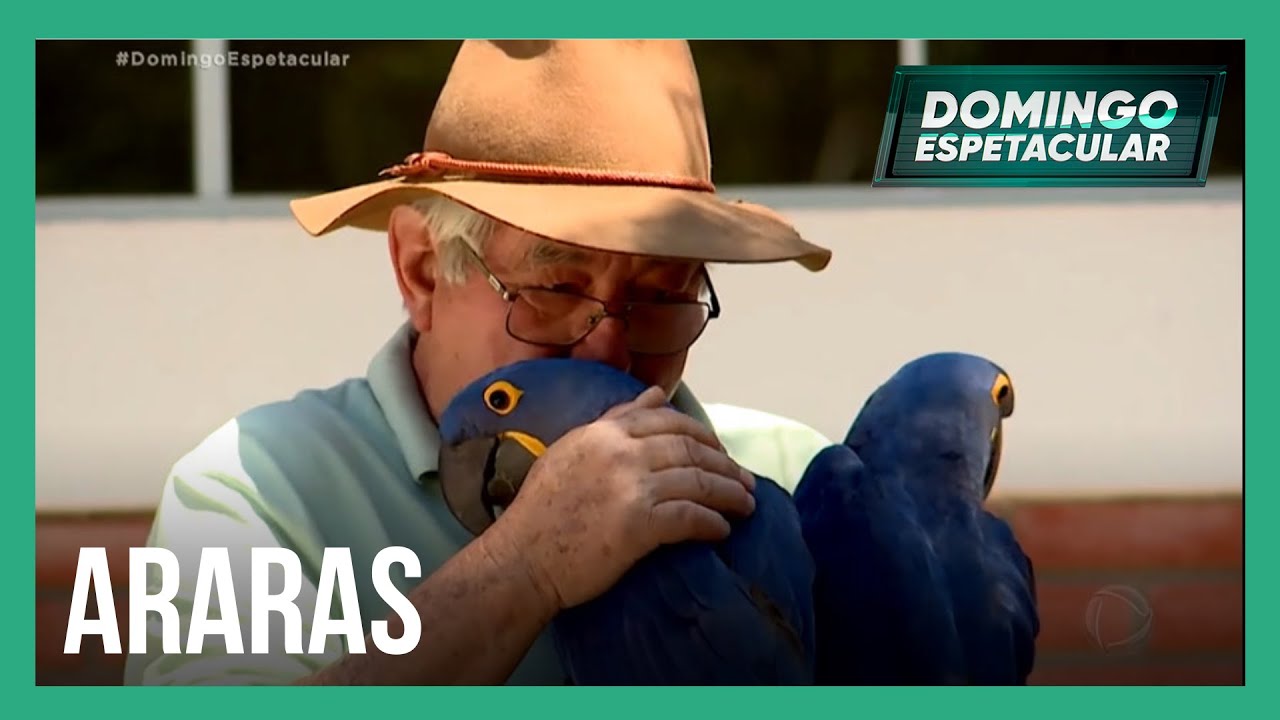Conheça o brasileiro conhecido como o encantador de araras