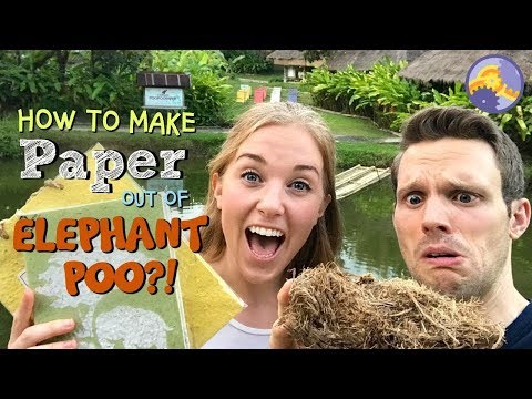 How to make Paper out of Elephant Poo?! | Maddie Moate