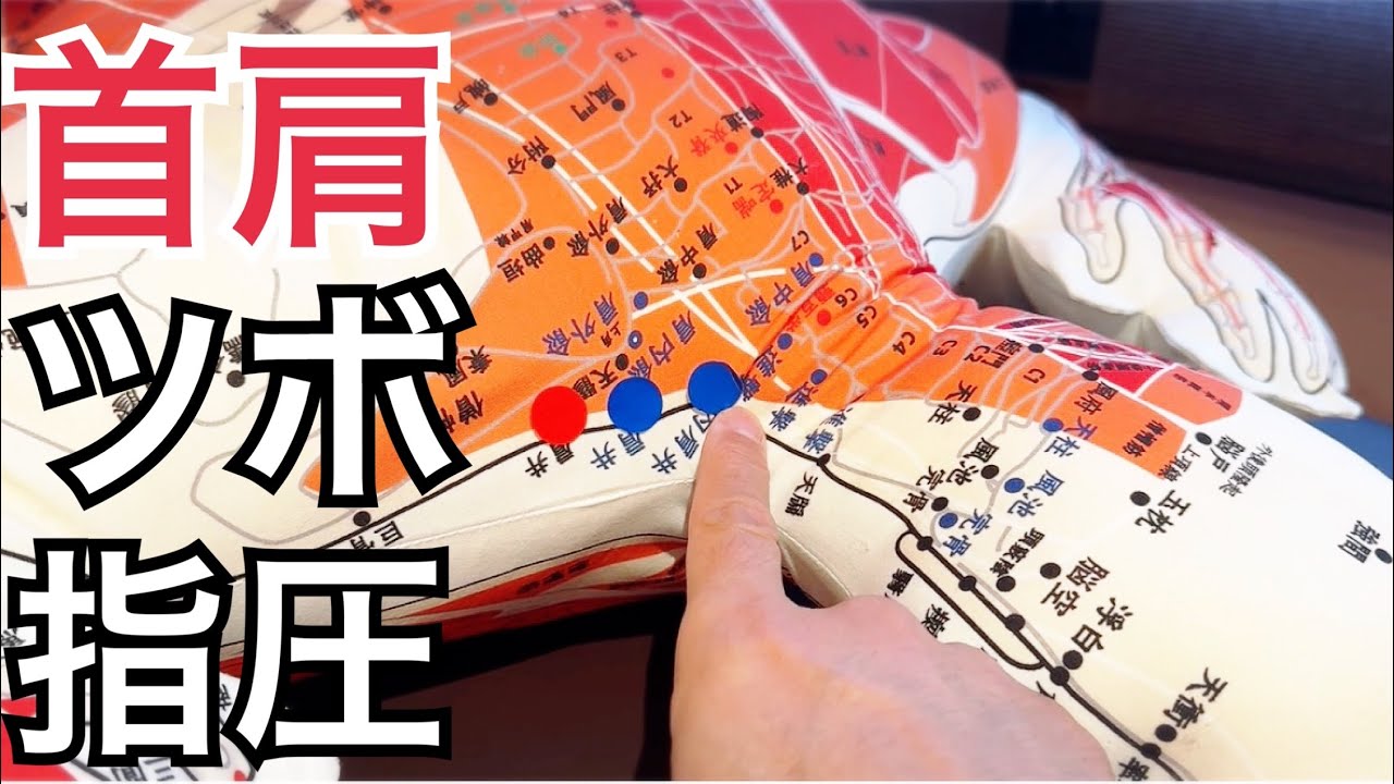 【首肩コリはこのツボ！】②絶対押すべきツボ  リタジネン解剖経穴人形