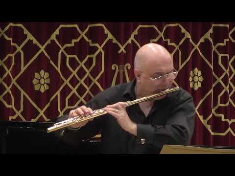 @ionbogdanstefanescu  Schumann - The Prophet Bird