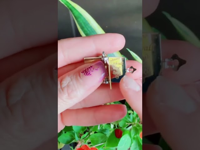 Vídeo relacionado con zyinoant Collar de Libro Personalizado para Hija My Little Star Book Necklace Spanish, Abierto con 6 Páginas de Información Grabada Ajustable Collar Nombre Personalizado Regalo Mujer Cumpleaños (D-1)