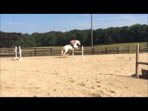 TSRE Aurelio Schooling Combinations