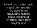 I Want My Mullet Back Lyrics