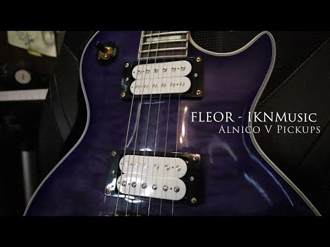 Fleor Alnico V  Ebay Pickups Demo