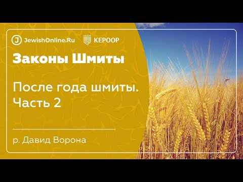 Законы шмиты. Урок 22. После года шмиты