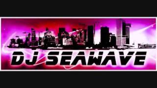 Dj SEAWAVE - WELCOME TO MY WINTER SENSATION - NOVEMBRE 2010 + DOWNLOAD LINK