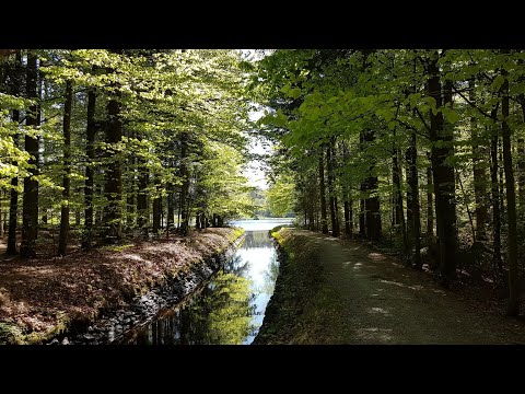 🌳 In Woid eine 🌲 Runde zum Stausee Großarmschlag 🐟 und zur Steinklamm #MyKomootStory