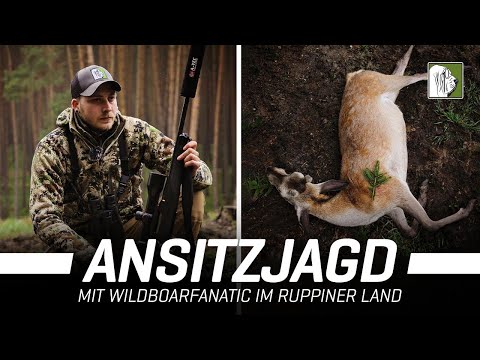 Hunting in Brandenburg with Wildboarfanatic | 4K