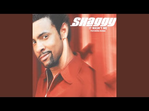 It Wasn't Me (Radio Edit)