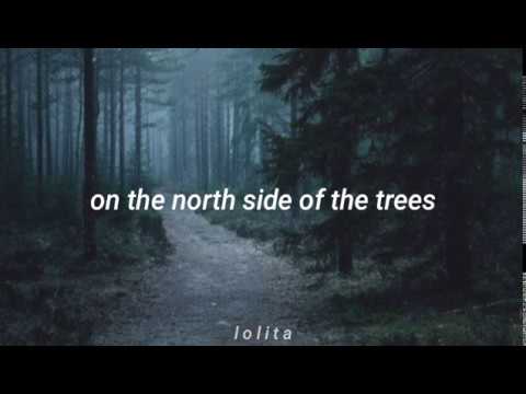 【 The moss 】Cosmo Sheldroke「 Lyrics 」