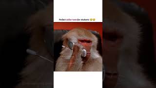 Download lagu #view #funny #vtuber #viralvideo #fun https://youtube.com/shorts/2vtkCS6qIAU?si=gEGxy9DP8US0tWDp🤣😂👈🙏 mp3