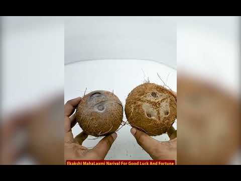 Ekakshi Nariyal video