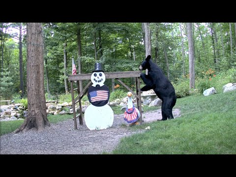 Snowman Cam