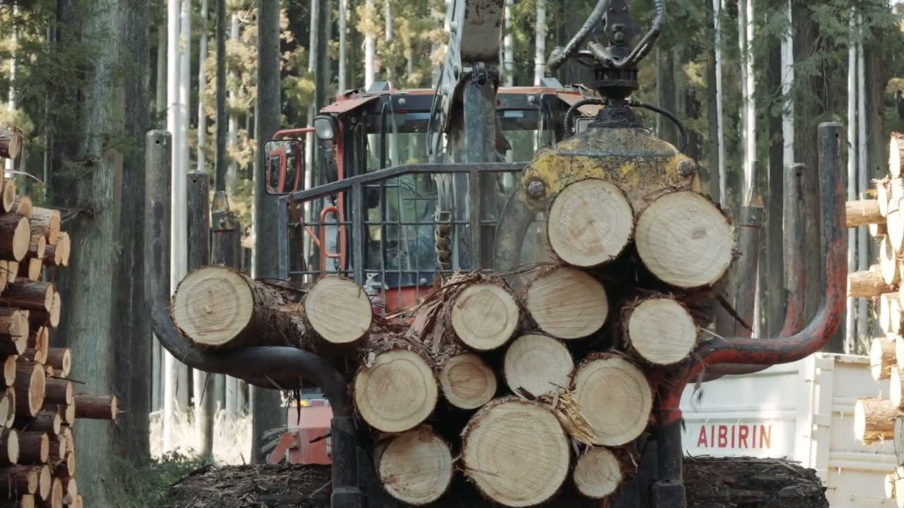 御殿場のブランド木材「ごてんばっ木(こ)」