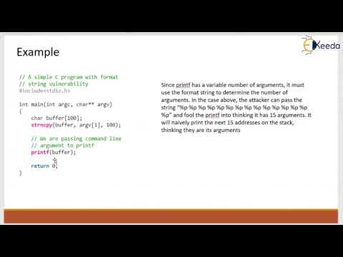 Format String | Cryptography and System Security